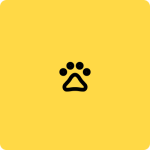 paws yellow paws yellow